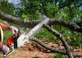 Best Lot and Land Clearing  in Ligonier, IN